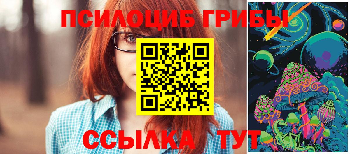 Бахчисарай  Псилоцибиновые грибы GOLDEN TEACHER  Вход с VPN 