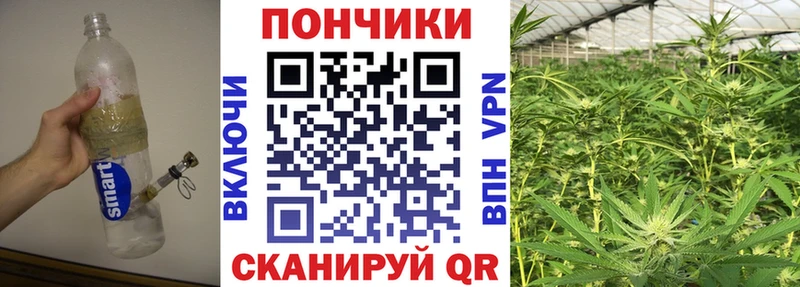 Шишки марихуана план  купить наркоту  Бахчисарай 